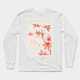 Momiji Maple Tree With Leaves And Seeds by Megata Morikaga Long Sleeve T-Shirt